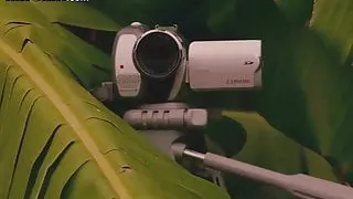 Definitely Chase these Celebrity Waterfalls