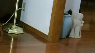 walking in my Guess gladiators