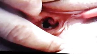 cock sucker
