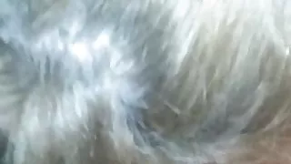 Teresa Blows some more