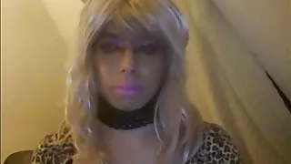 Carolina Stupid Sissy Exposed