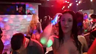 Party bitches fucking large dicks