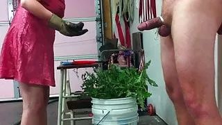 thistle cbt with wax
