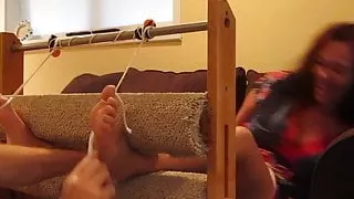 Crimson Pie - tickled in stocks