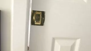 Charley Chase And Cece Anal Audition POV Strapon Casting