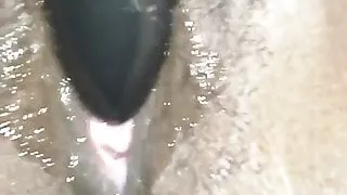 wet pussy