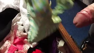 Cumming in her panties