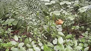 Randon Strait is collecting mushrooms