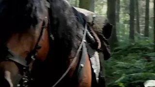 Laura Donnelly nude - Outlander S01E14