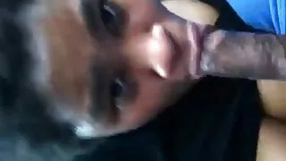 Nappy Head Hoe swallows