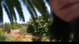 Nein Nicht Aua    Mallorca Deutsch