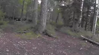 Amateur couple sex tape with lewd lovers in lingerie fuck