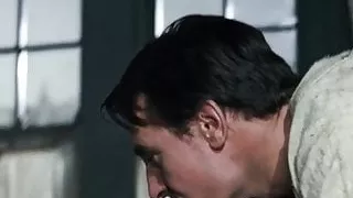 BH, Brünette Frauen, Berühmtheit, Jeans, Softcoresex, Vintagesex