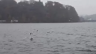 MIA MAGMA Blonde German Threesome