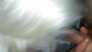 cougar sucks young guys cock until he cums