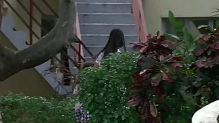 Demi Moore Scenes In Striptease Compilation