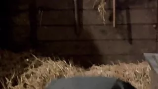 Gabrielle Drake nude - Au Pair Girls