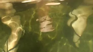 France, playing flashing at Auvergne and Ran du chabrier