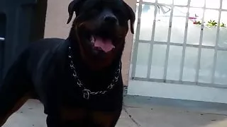 Behind the scenes of Samantha Saint's photoshoot