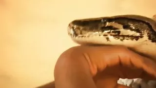 She Makes Me Feel Good