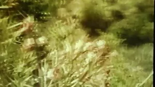 jacking to my favorite ass goddess