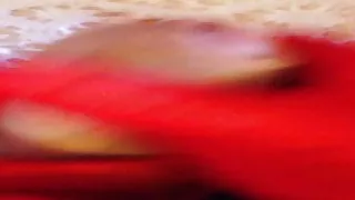 had to cut short needed to fuck dolls hard