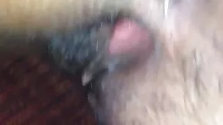 Sans capote bonne chatte mouille