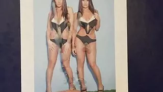 Tribute For The Bella Twins