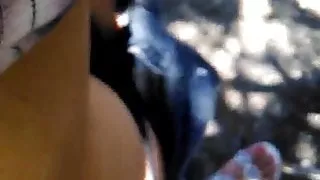 Dicking around at the park