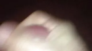 Schneller großer Schwanz Cumshot