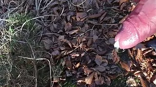 SloMo Wichsen im Wald