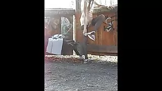 Outdoor in stockings