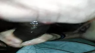 ft wayne stripper suckin me off