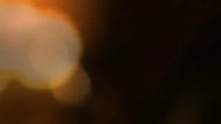 Belly Dancer From Exotic Bollywood