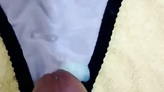 cum in panties my wife