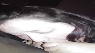 My granny neighbor blowjob