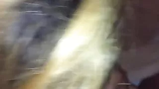 Canadian Indian Sucking Black Dick In A Hotel