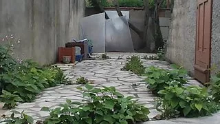 Phone distraction II