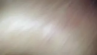 Young bull and someone's step mom