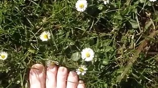 Walking on the grass and daisies showing my feet