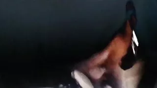 Lorena Colombian from Jackson Heights