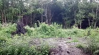 Bar, Sort, Gay, Nylon, Stram