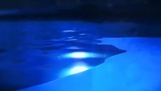 Love Quality: I'm Not Your Toy