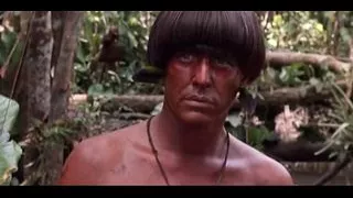 Daryl Hannah in At Play in the Fields of the Lord