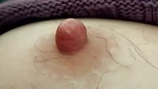 Mes jolies tetons poilus