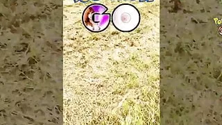 Pokemon GO Porno - Anny Aurora hat einen Dickluxo gefangen