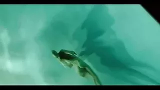 Isabel Lucas in Knight of Cups