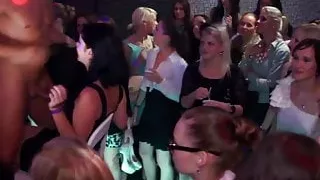 Party Amateure wichsen Schwanz bei Euro-Orgie