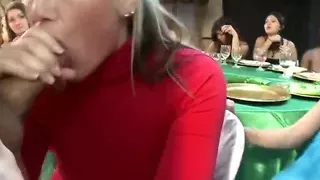 Dancing Bear Sperm Party