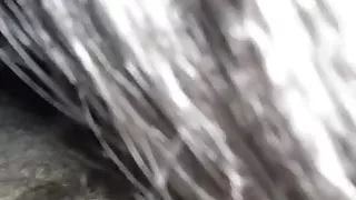 prostituta domenicana